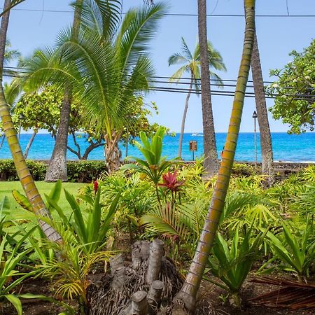 Spring Rates Book Now - Islander Condos Kailua-Kona Exteriör bild