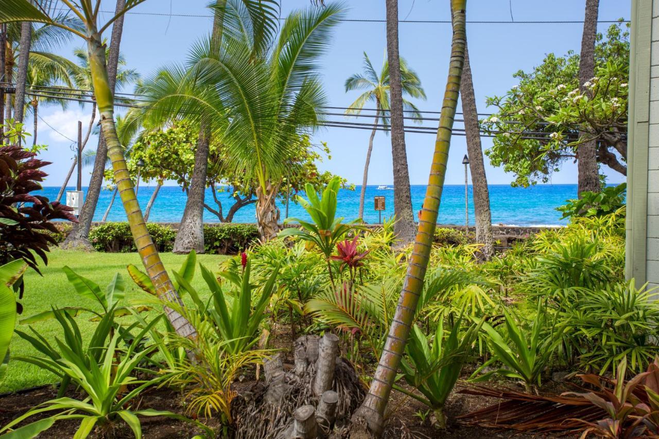 Spring Rates Book Now - Islander Condos Kailua-Kona Exteriör bild